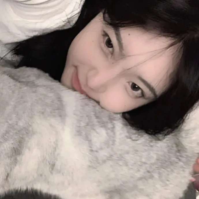 房子的故事